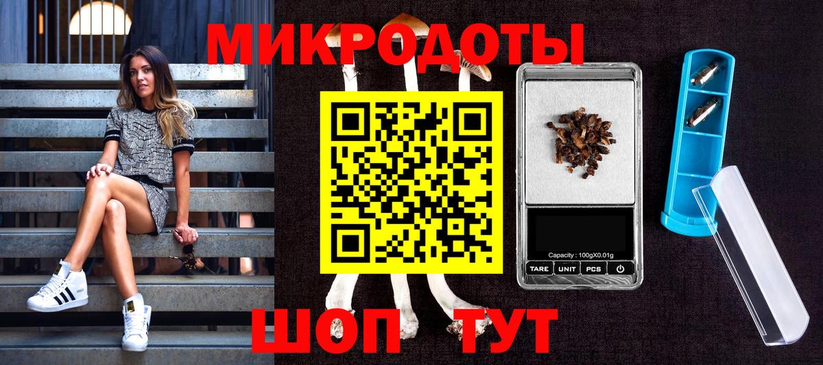 Галлюциногенные грибы мицелий Скопин