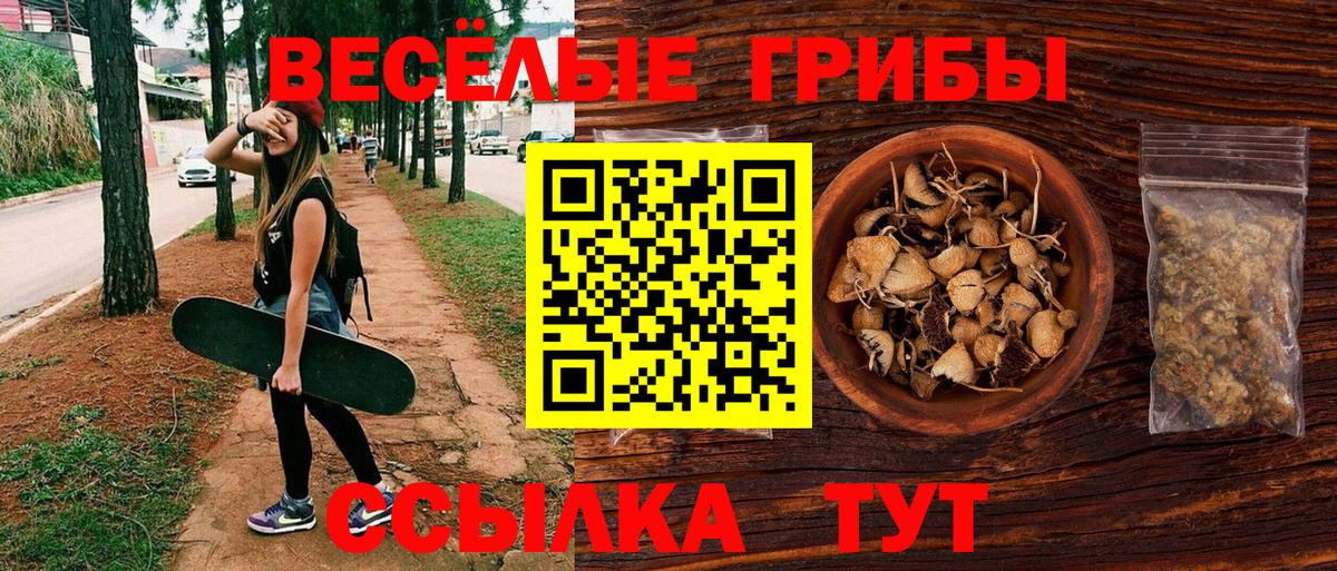 Псилоцибиновые грибы Psilocybine cubensis  Вход с VPN  где купить наркотик  Скопин 